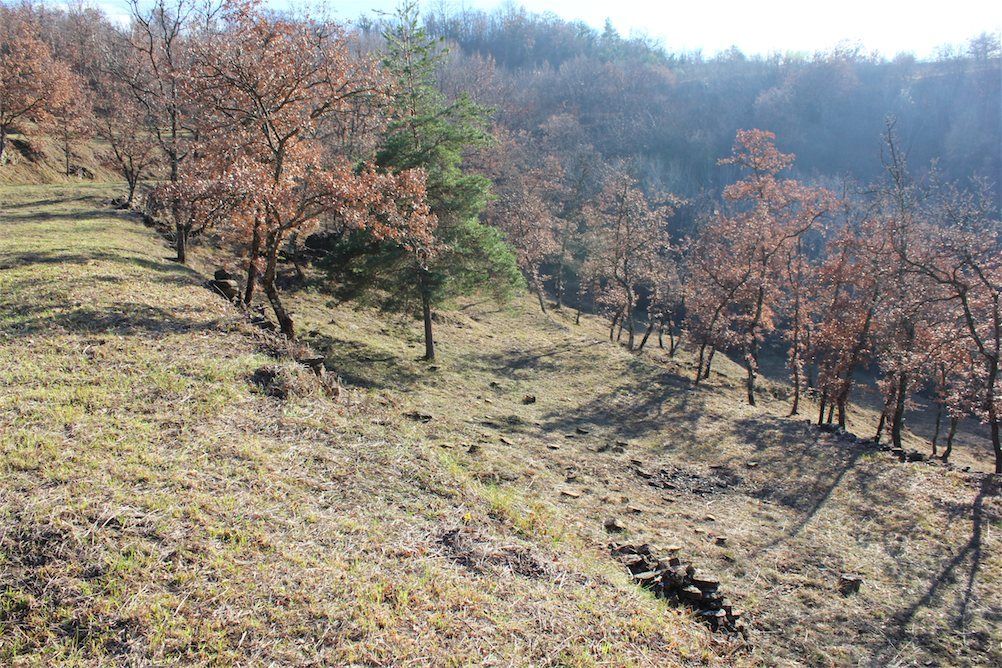 Земля в Буйе, Хорватия, 18 500 м² - фото 8