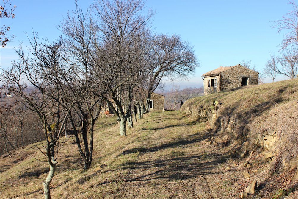 Земля в Буйе, Хорватия, 18 500 м² - фото 5