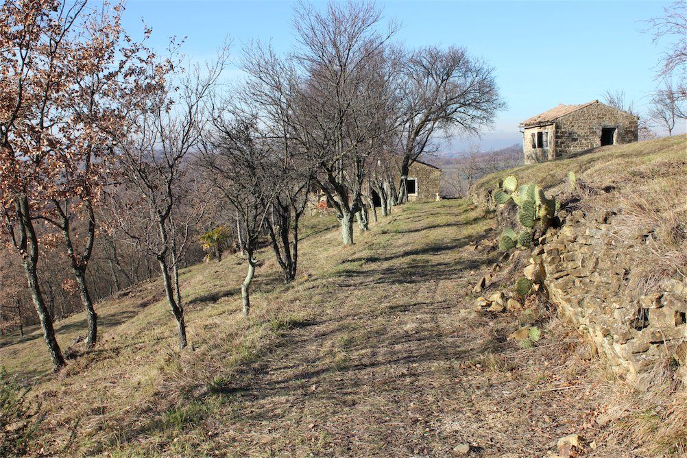 Земля в Буйе, Хорватия, 18 500 м² - фото 4