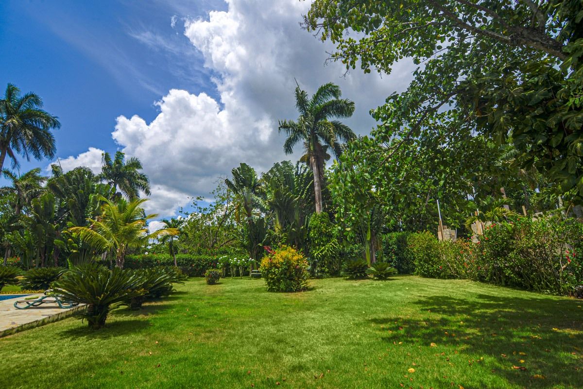 Вилла в Сосуа, Доминиканская Республика, 325 м² - фото 11