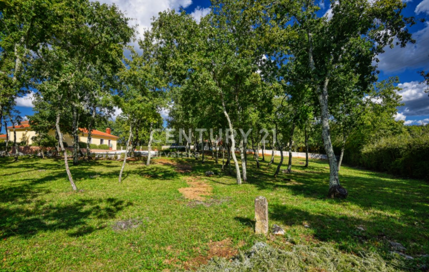 Вилла в Вижинаде, Хорватия, 217 м² - фото 4