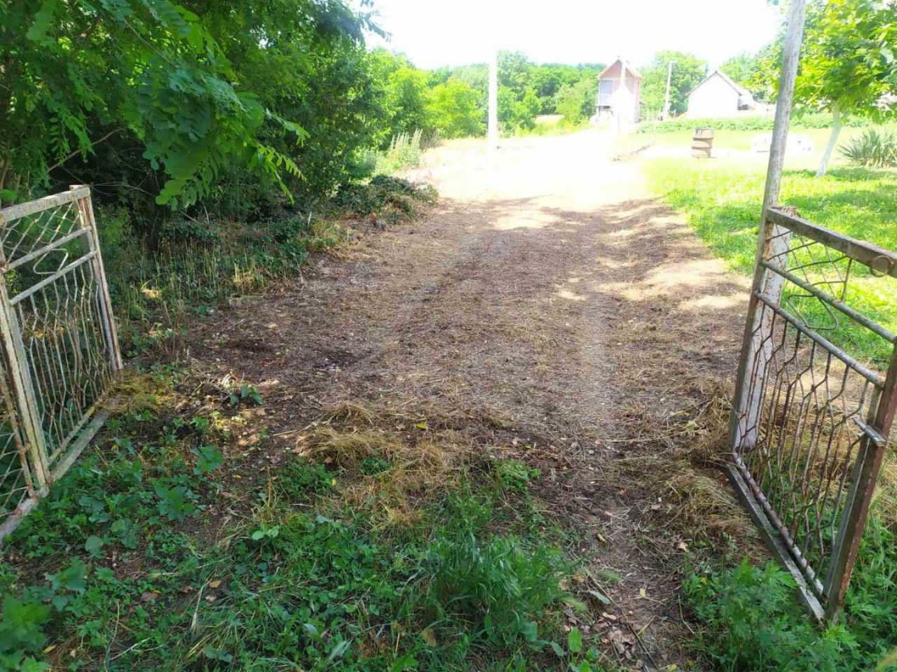 Земля в Даниловграде, Черногория, 15 500 м² - фото 4