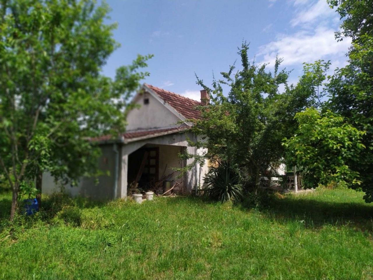 Земля в Даниловграде, Черногория, 15 500 м² - фото 12