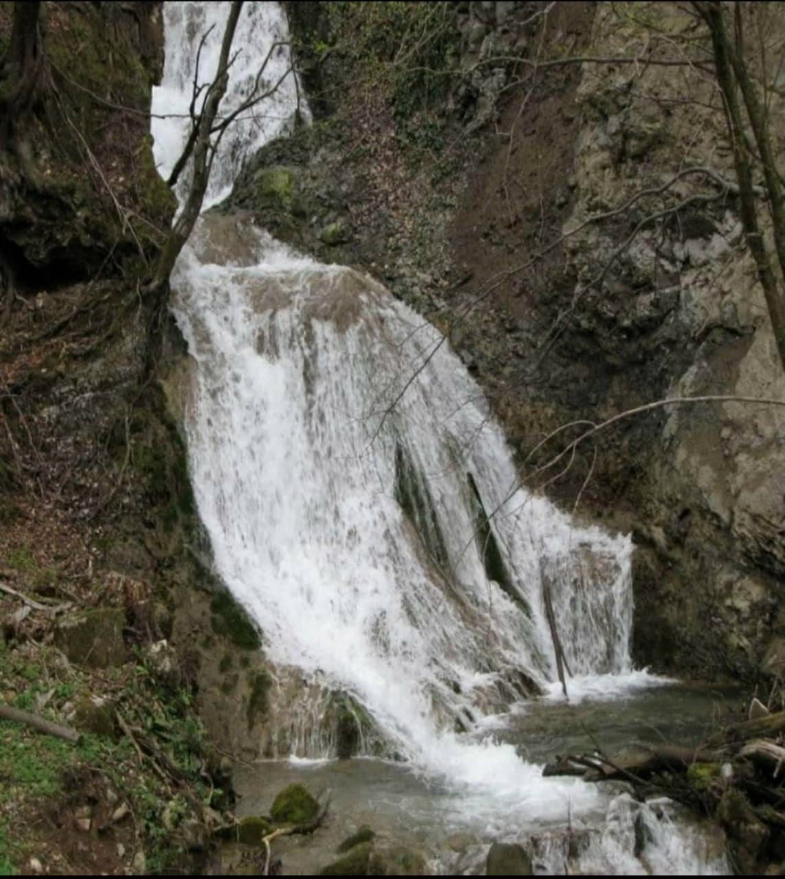 Поместье в Лиге, Сербия, 280 м² - фото 6