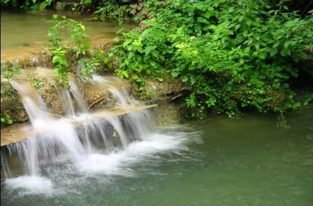 Поместье в Лиге, Сербия, 280 м² - фото 8