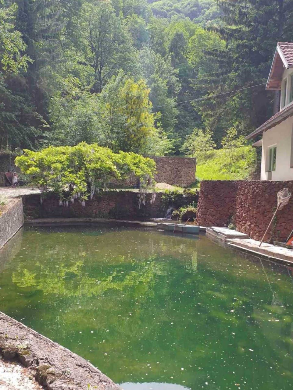 Поместье в Лиге, Сербия, 280 м² - фото 7