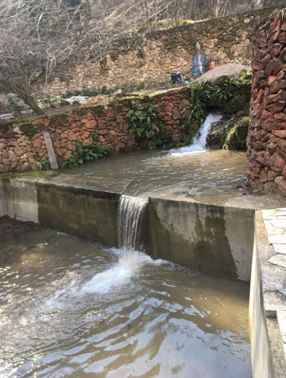 Поместье в Лиге, Сербия, 280 м² - фото 14