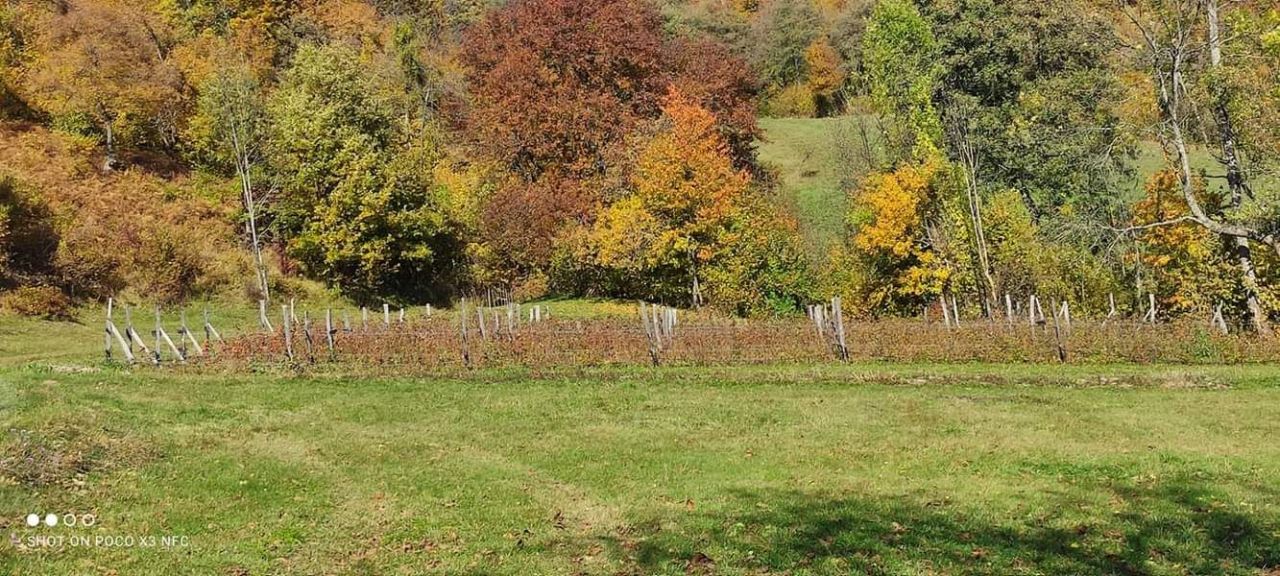 Земля в Колашине, Черногория, 166 663 м² - фото 7