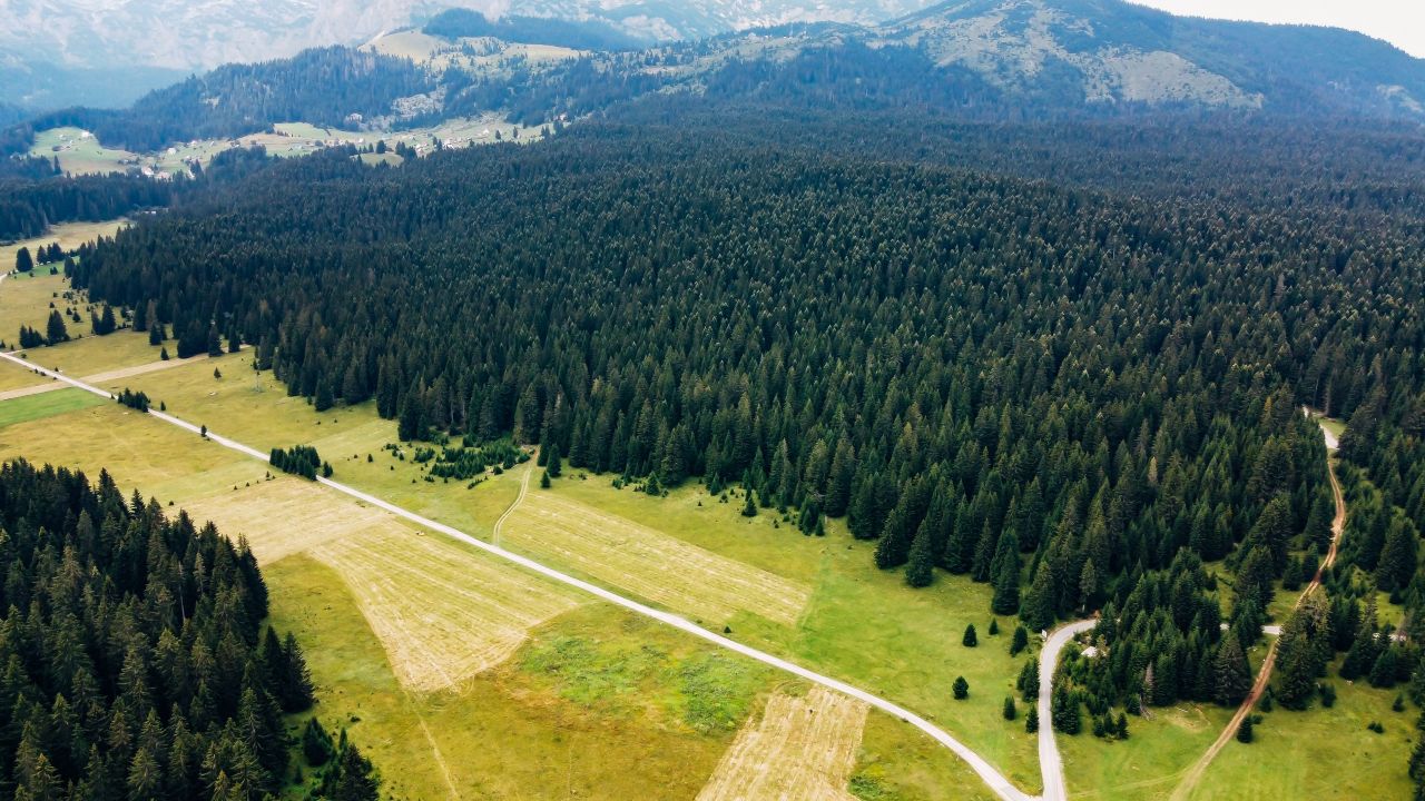 Земля в Жабляке, Черногория, 5 704 м2 - фото 1