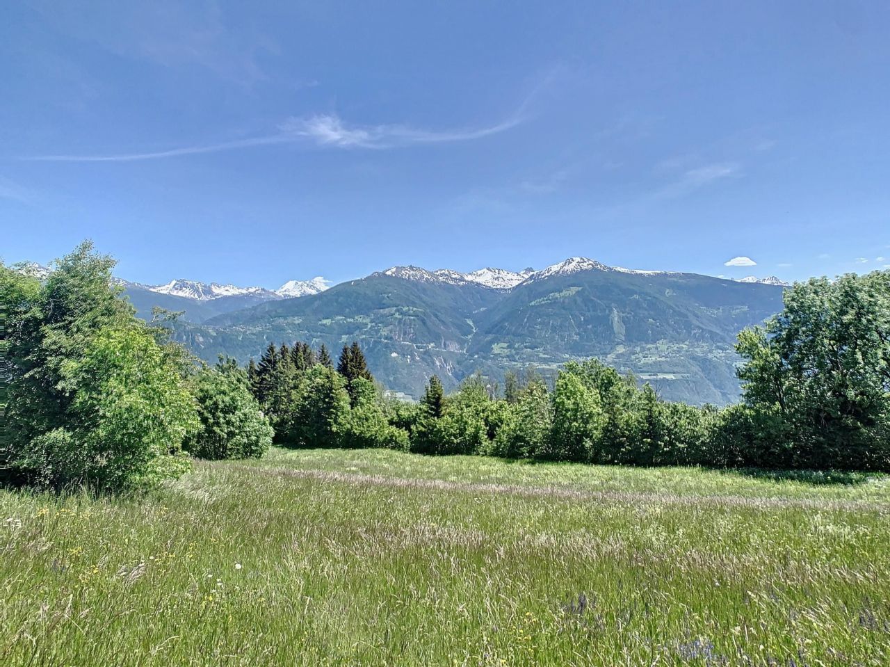 Земля в Кран-Монтане, Швейцария, 2 501 м2 - фото 1