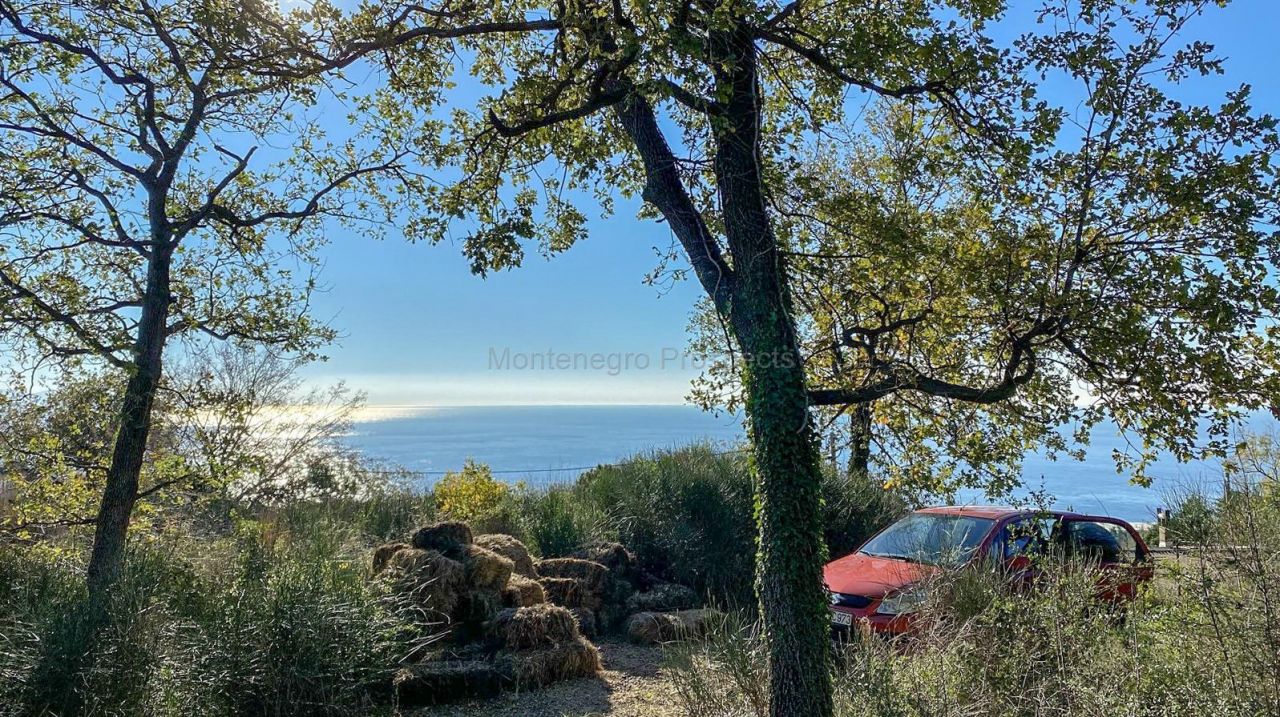 Земля Заградже, Черногория, 1 273 м² - фото 2