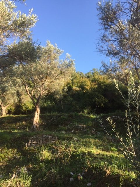 Земля в Баре, Черногория - фото 5