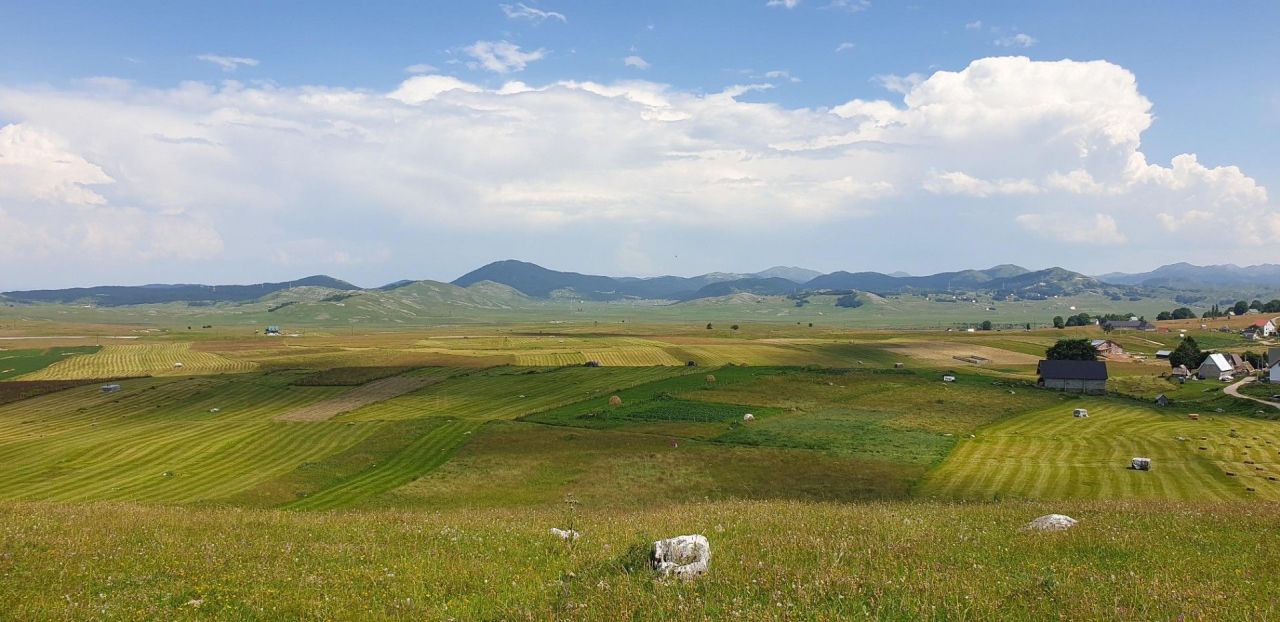 Земля в Жабляке, Черногория, 1 956 м² - фото 5