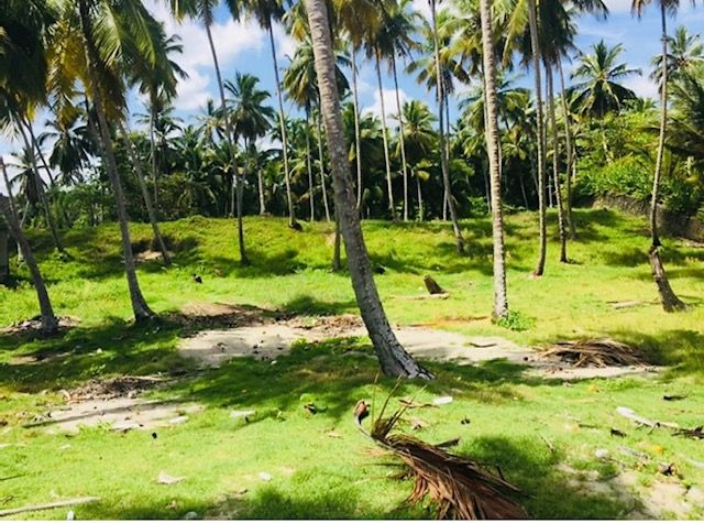 Земля в Кабарете, Доминиканская Республика, 9 350 м² - фото 3