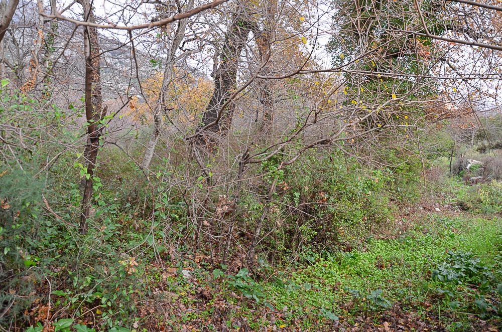 Земля в Шушани, Черногория, 1 000 м² - фото 4