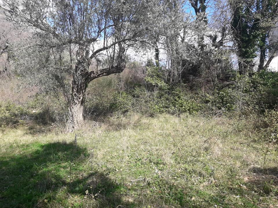 Земля в Шушани, Черногория, 1 000 м² - фото 6