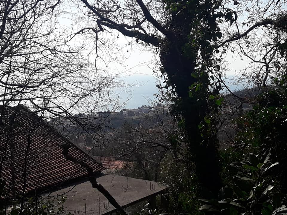 Земля в Шушани, Черногория, 1 000 м² - фото 8