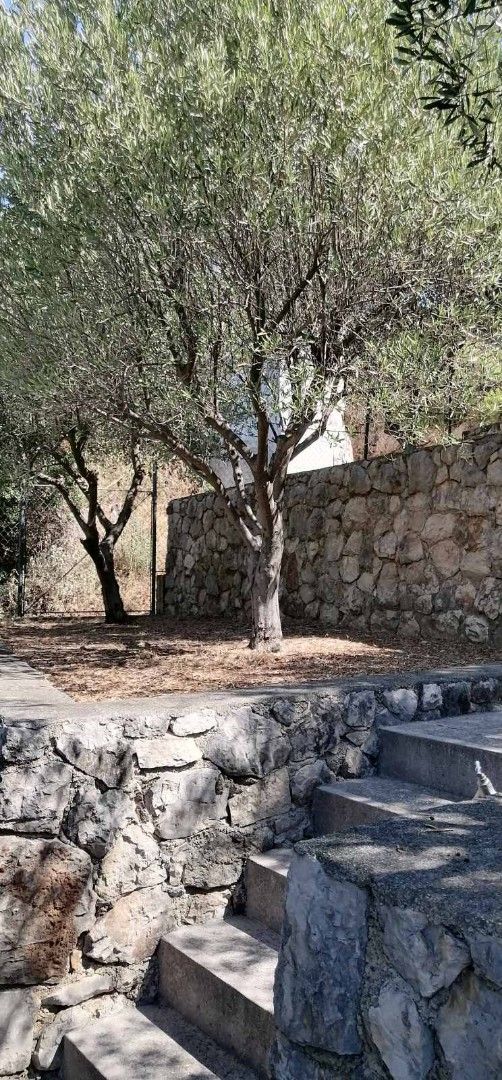 Вилла в Добра Воде, Черногория, 250 м² - фото 15