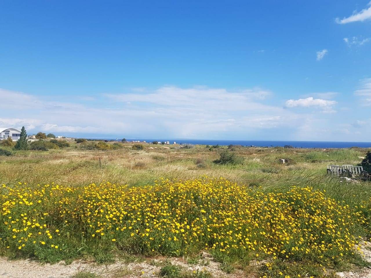 Земля в Протарасе, Кипр, 5 950 м2 - фото 1