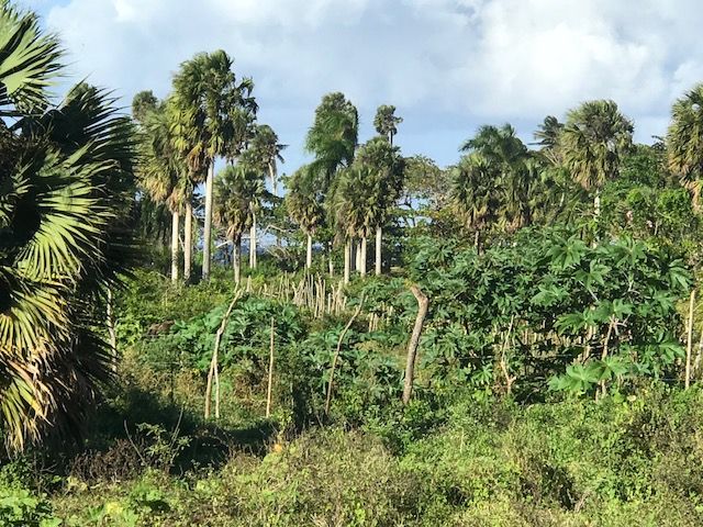 Земля в Кабарете, Доминиканская Республика, 500 м2 - фото 1
