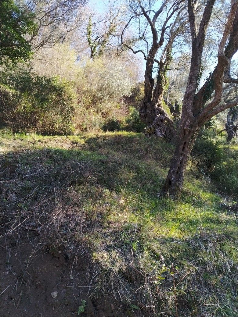 Земля в Баре, Черногория, 1 800 м² - фото 4