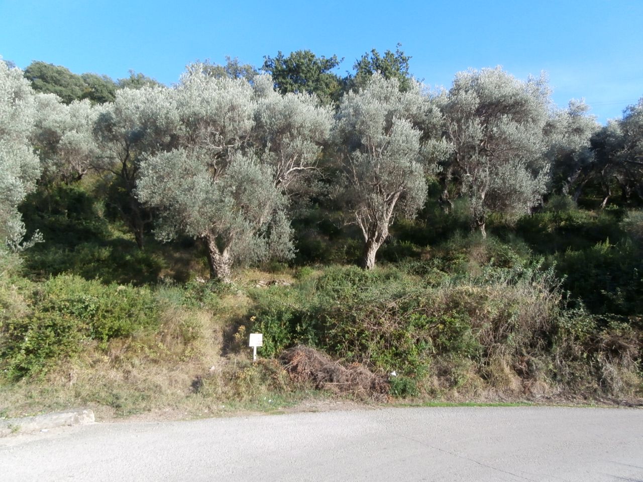 Земля в Баре, Черногория, 1 800 м² - фото 5