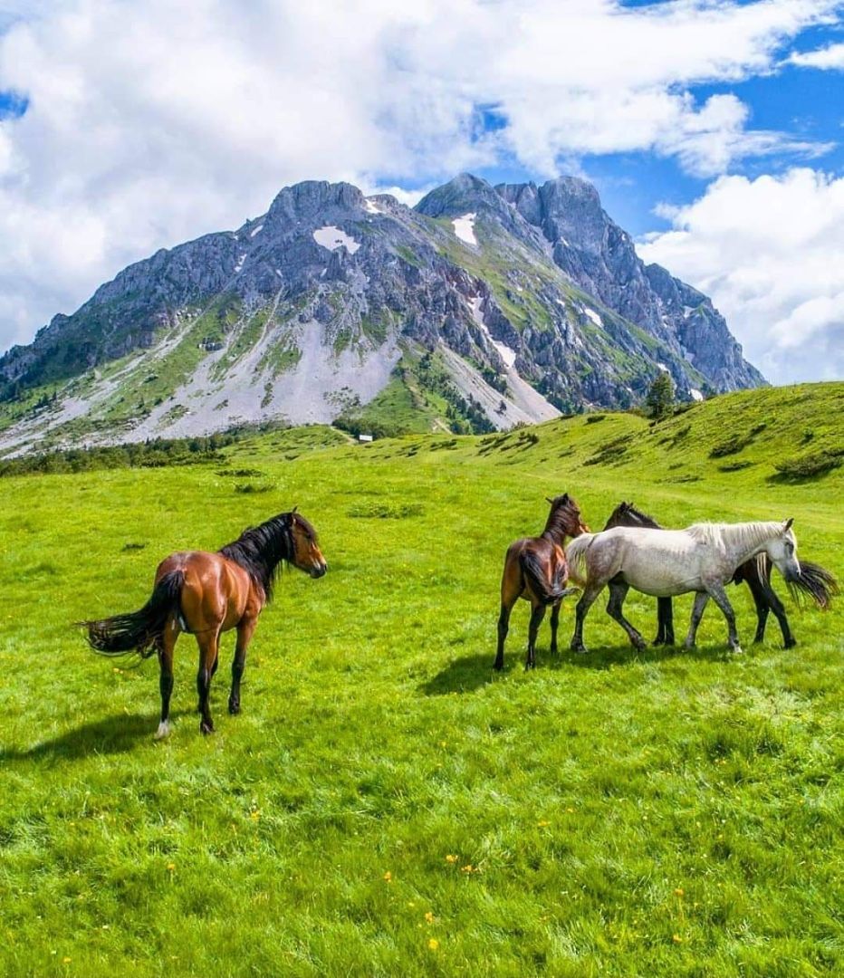 Земля в Жабляке, Черногория, 1 000 м² - фото 5