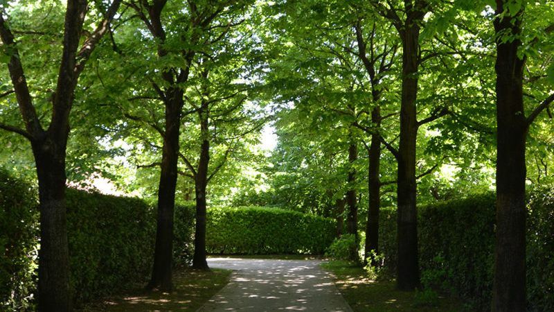 Инвестиционный проект в Брианце, Италия, 3 400 м² - фото 10