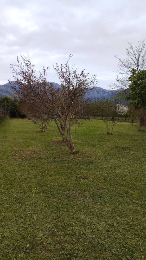 Земля в Баре, Черногория, 1 661 м² - фото 2