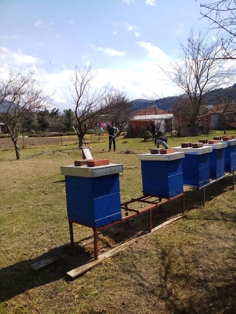 Земля в Баре, Черногория, 1 661 м² - фото 5