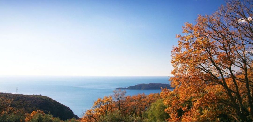 Земля Куляче, Черногория, 16 000 м² - фото 2