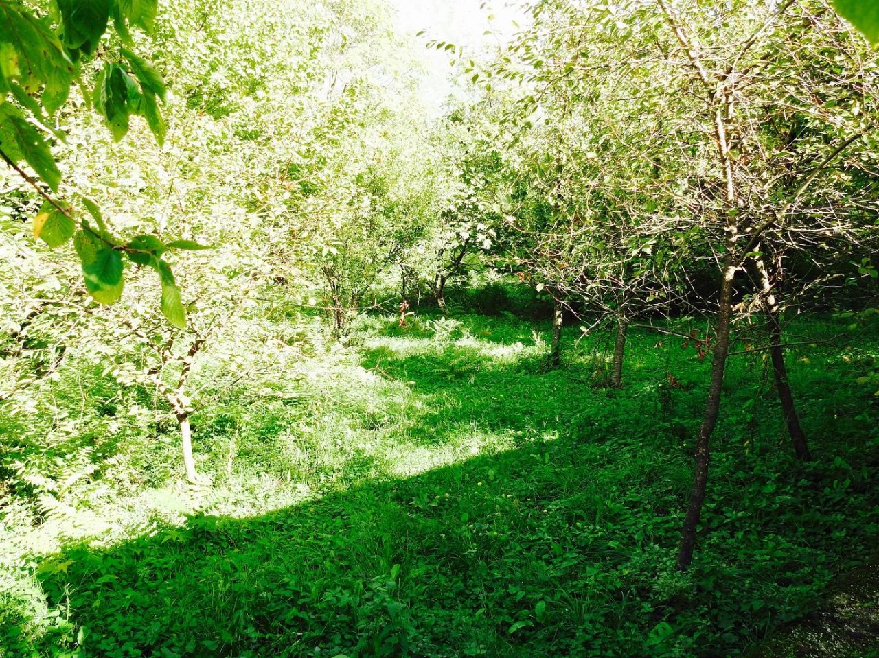 Земля в Столиве, Черногория, 1 805 м² - фото 6