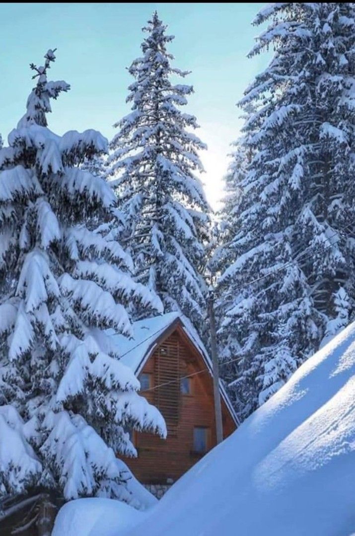 Земля в Колашине, Черногория, 2 100 м² - фото 7