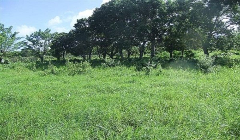 Земля в Кабарете, Доминиканская Республика, 1 900 м² - фото 3