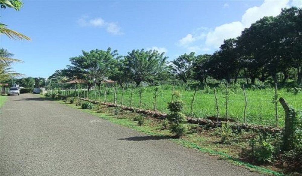 Земля в Кабарете, Доминиканская Республика, 1 900 м² - фото 4