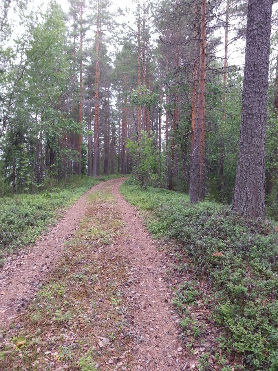 Коттедж в Иломантси, Финляндия, 40 м² - фото 8