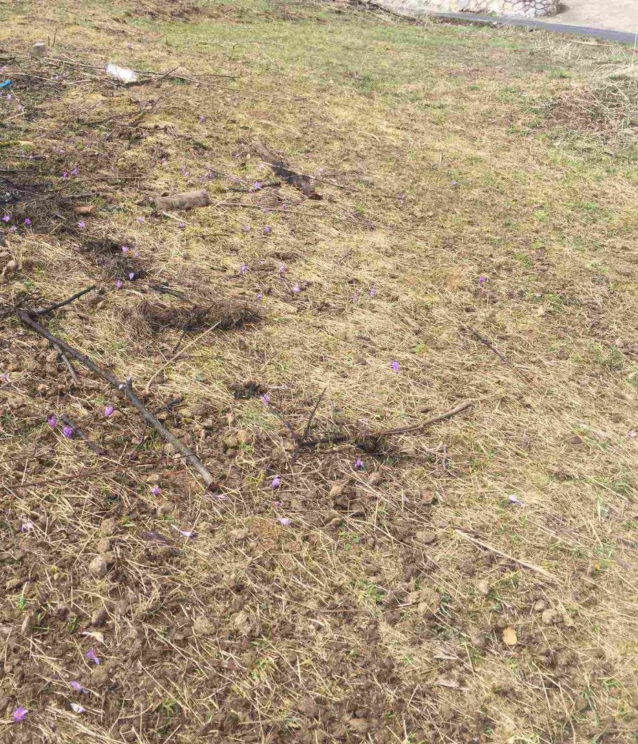 Земля в Колашине, Черногория, 1 192 м² - фото 3