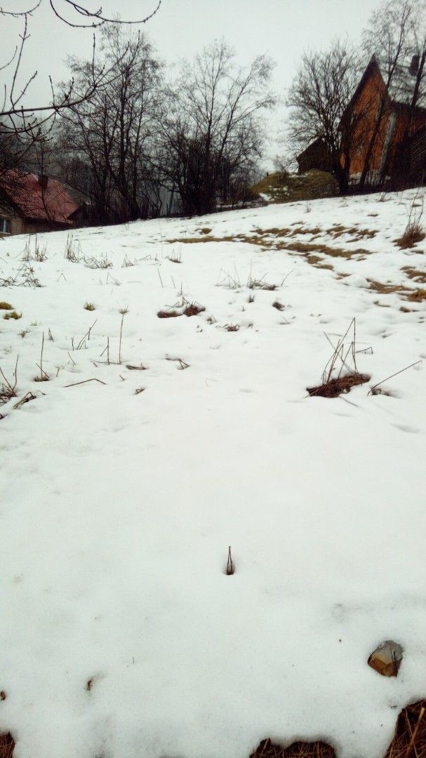 Земля в Колашине, Черногория, 1 192 м² - фото 4