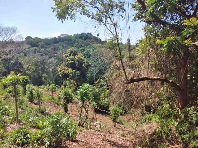 Земля в Сосуа, Доминиканская Республика, 159 000 м² - фото 8