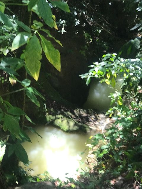 Земля в Сосуа, Доминиканская Республика, 159 000 м² - фото 9