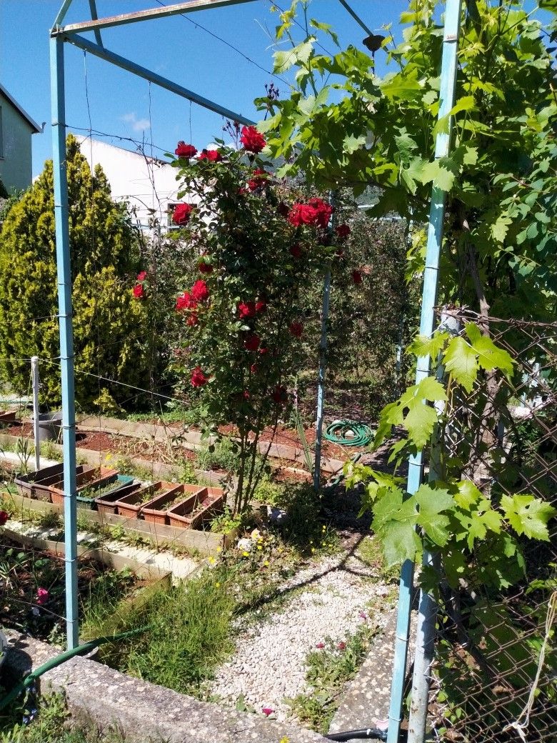 Земля в Добра Воде, Черногория, 491 м² - фото 2