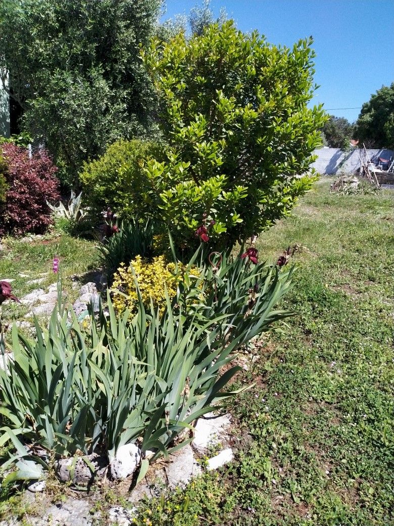 Земля в Добра Воде, Черногория, 491 м² - фото 3