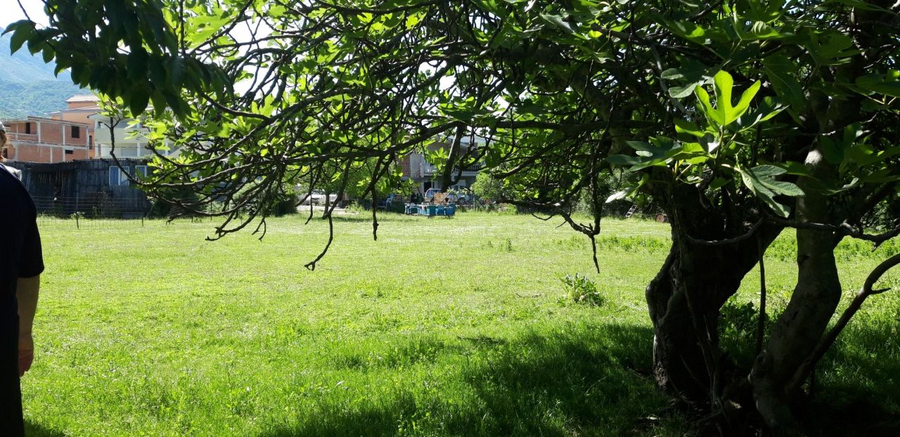 Земля в Баре, Черногория, 75 сот. - фото 7