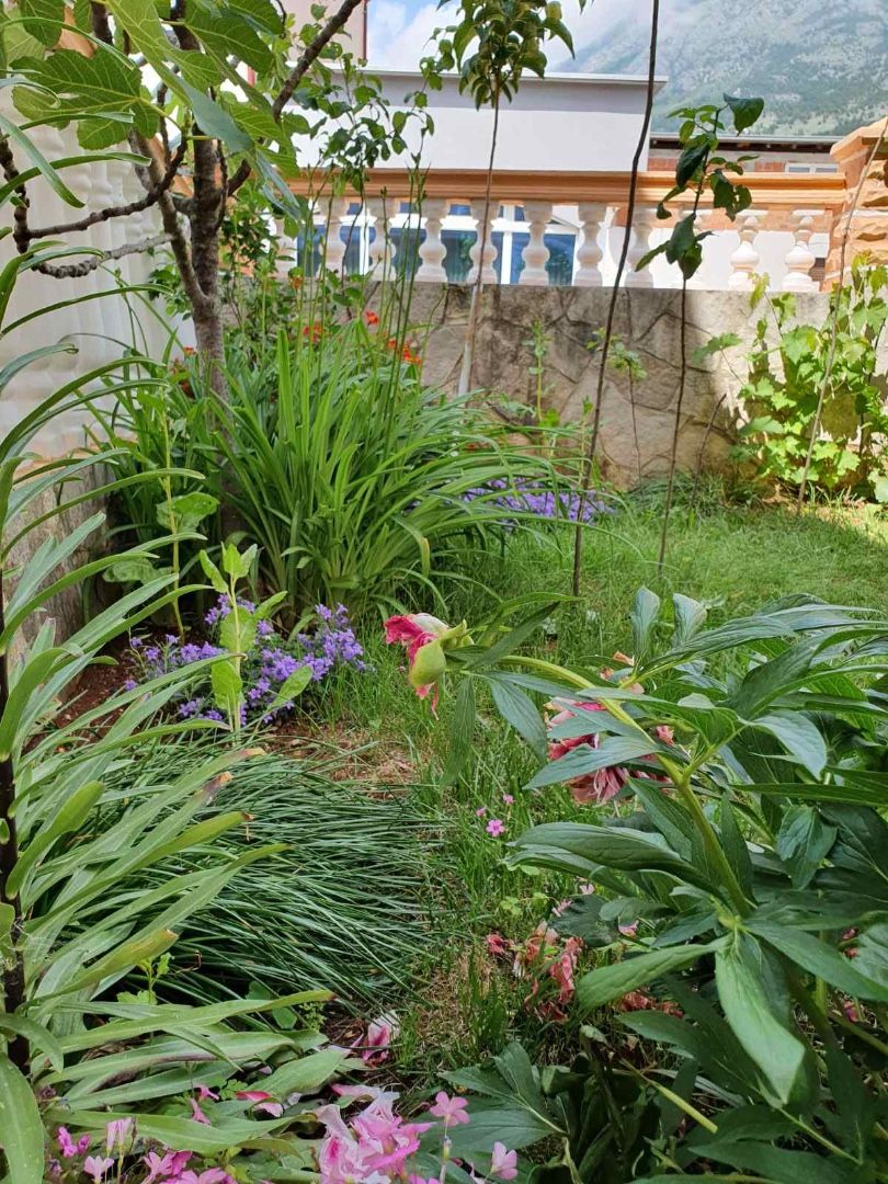 Дом в Добра Воде, Черногория, 340 м² - фото 4