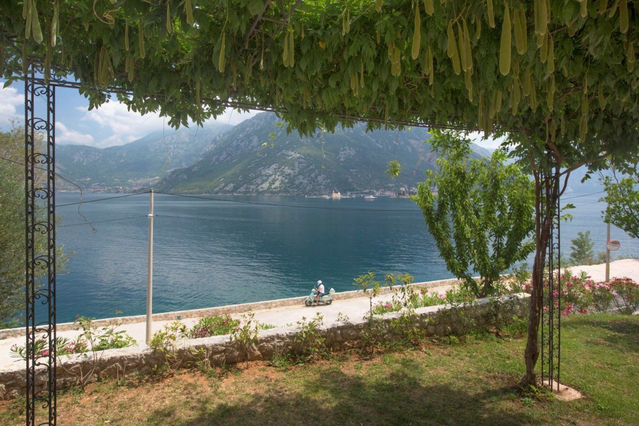 Коммерческая недвижимость в Каменари, Черногория, 235 м² - фото 10