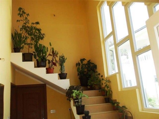 Дом в Шушани, Черногория, 230 м² - фото 4