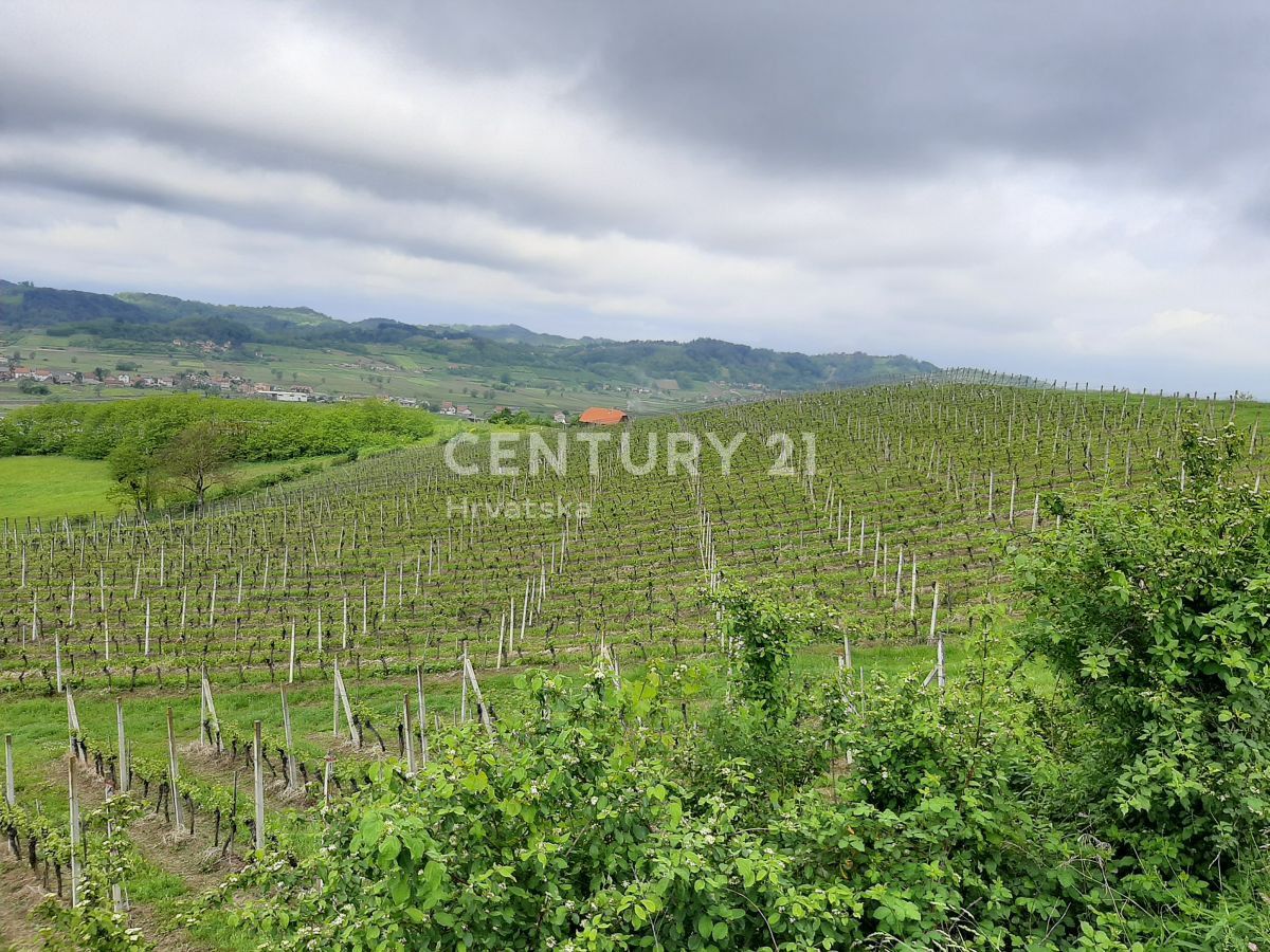 Земля в Свети-Криж-Зачретье, Хорватия, 80 000 м² - фото 10