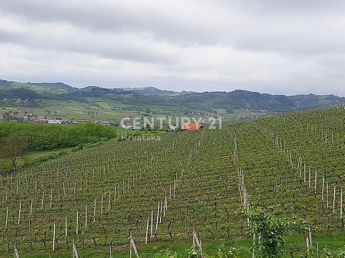 Земля в Свети-Криж-Зачретье, Хорватия, 80 000 м² - фото 12