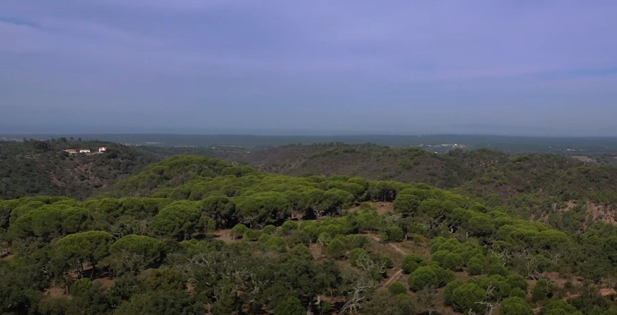 Земля в Сетубале, Португалия, 529 800 м2 - фото 1
