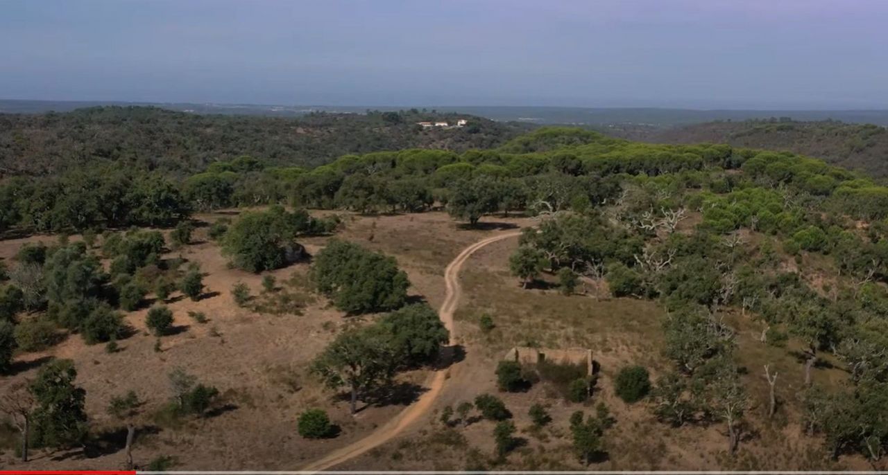 Земля в Сетубале, Португалия, 529 800 м² - фото 2